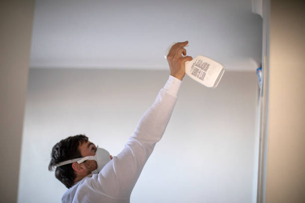 Best Kitchen Mold Remediation in Rockcreek, OR