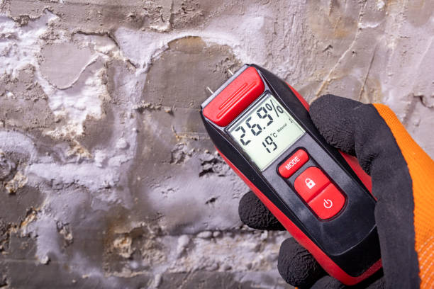 Best Residential Mold Remediation in Rockcreek, OR
