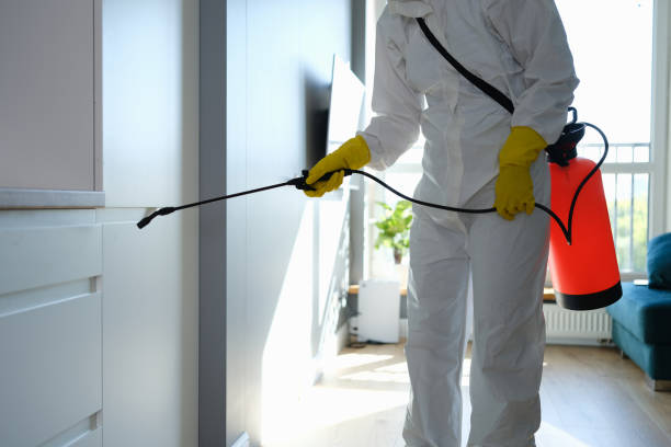 Best Industrial Mold Remediation in Rockcreek, OR